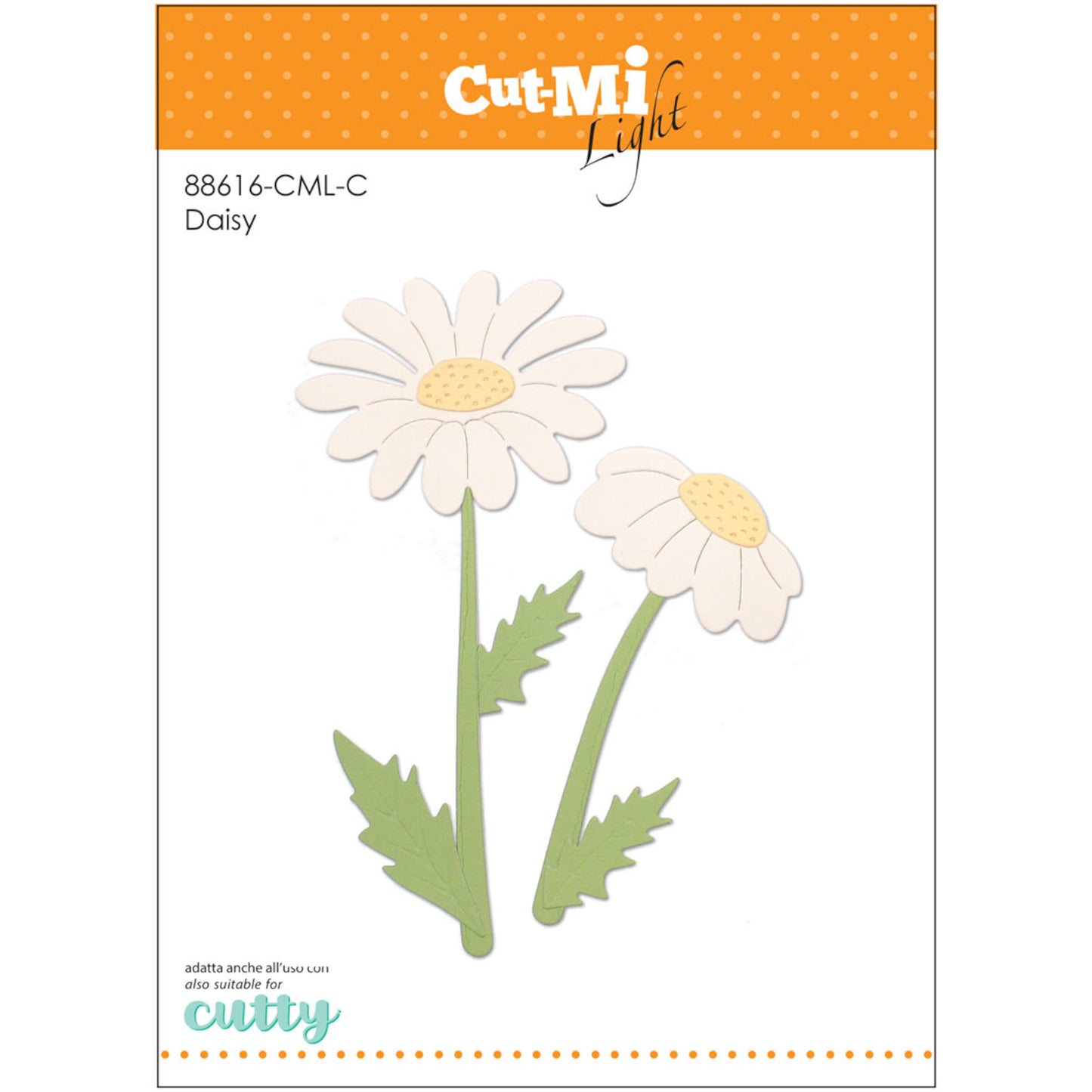 Daisy