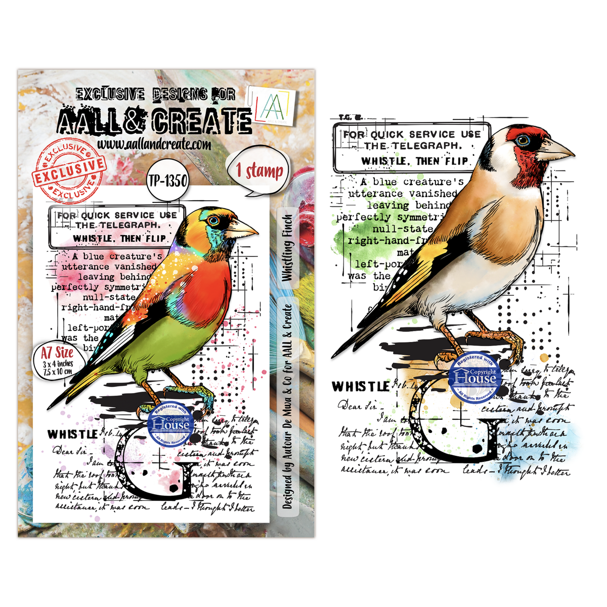 Hearted Nature Whistling Finch