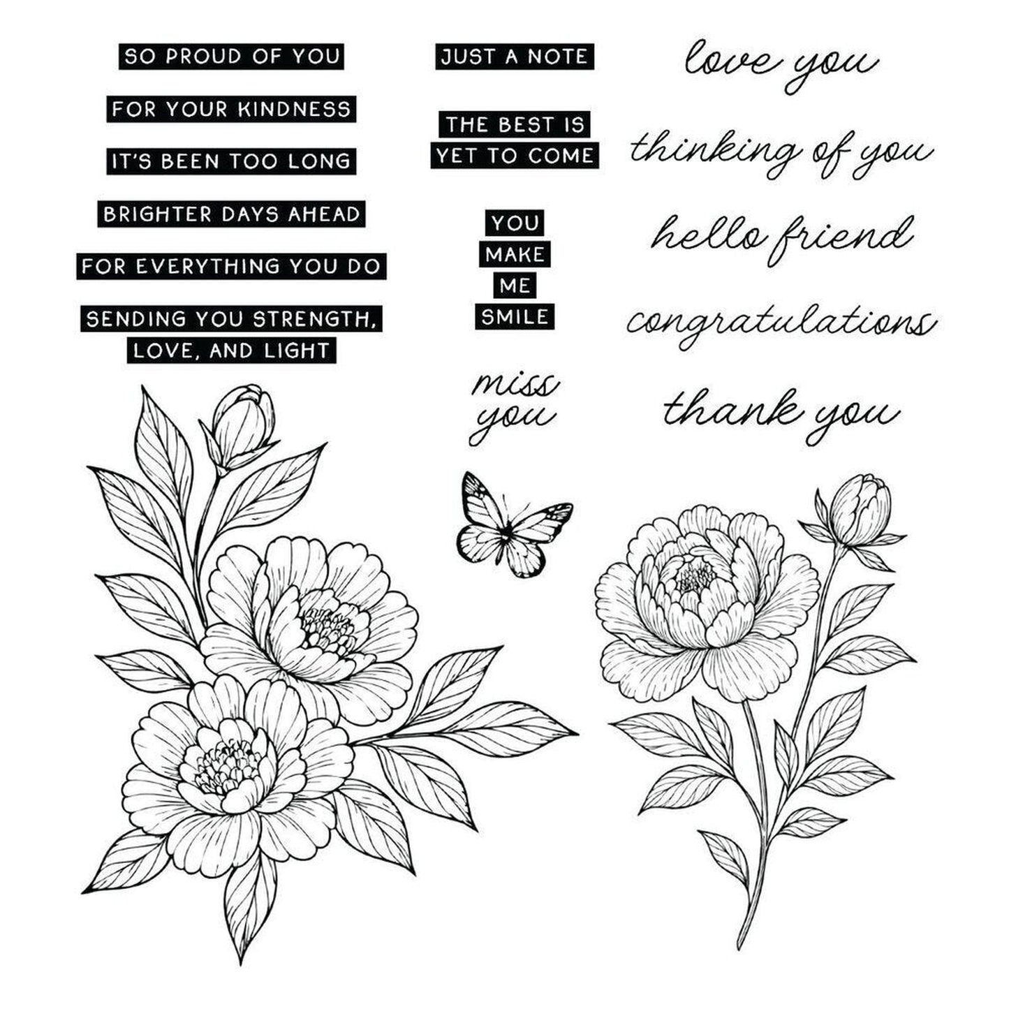 Simon Hurley Bundle Sketched Peonies