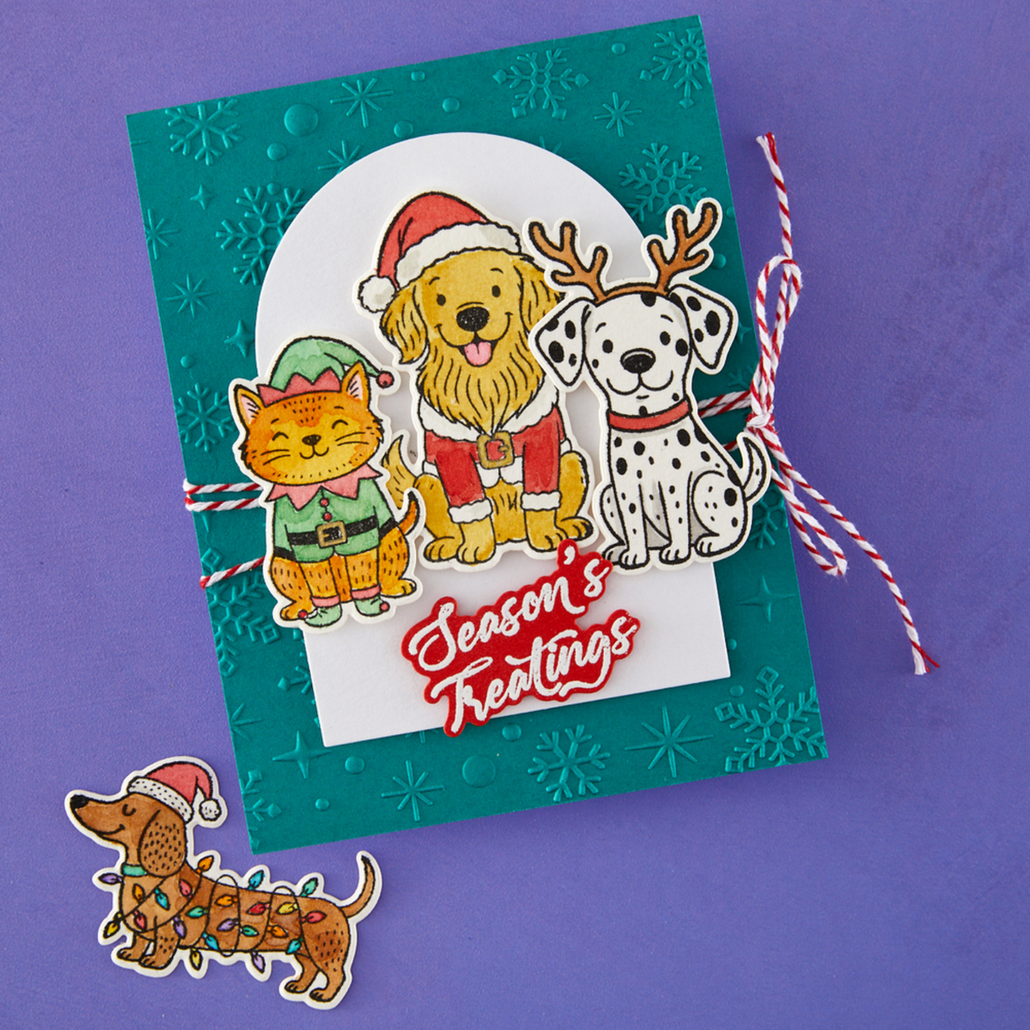 Christmas Pets