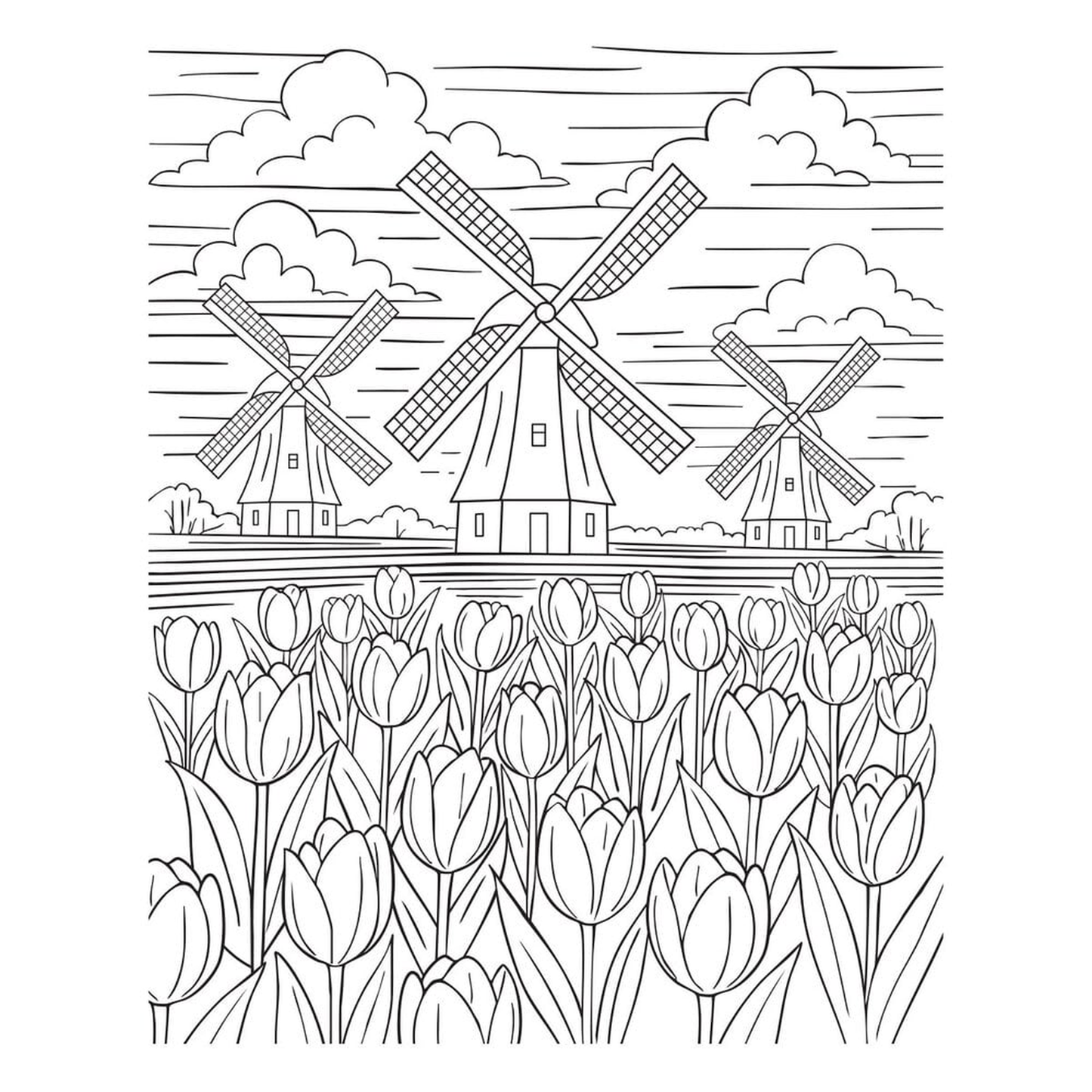 Yana's Tulips - Windmills and Tulips