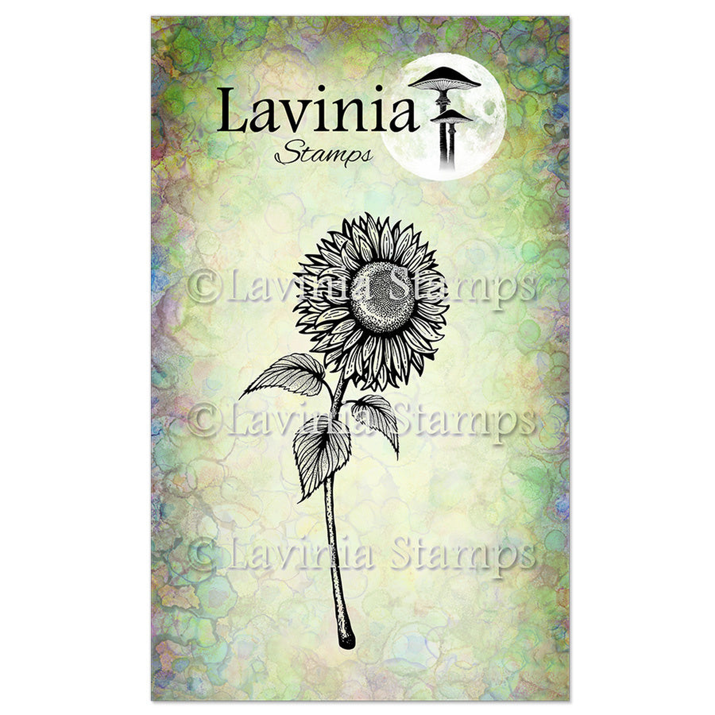 Sunflower 1