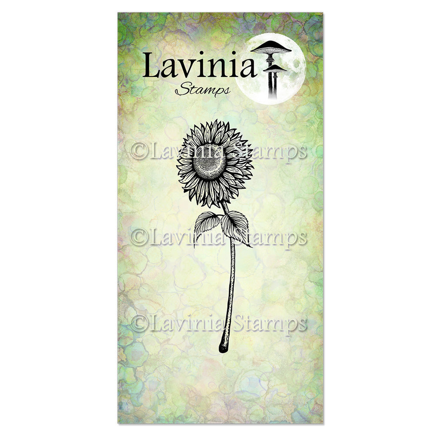 Sunflower 2