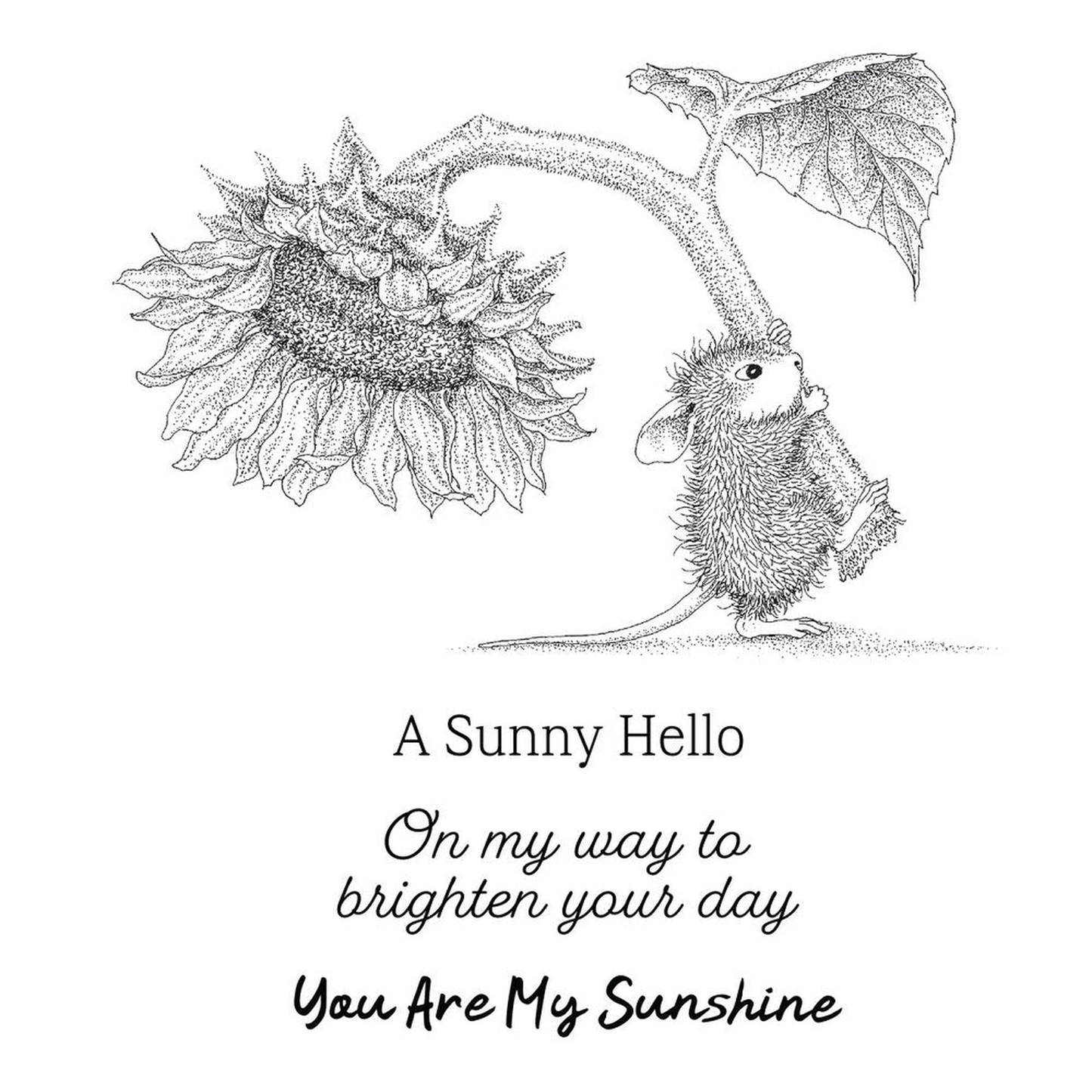 Sunflower Walk