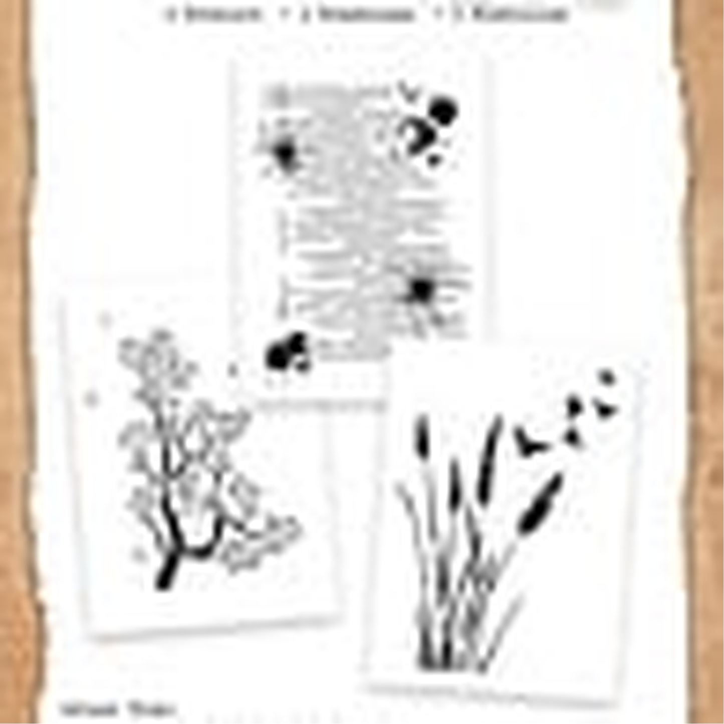 Beneath the Brambles - Meadow Ledger