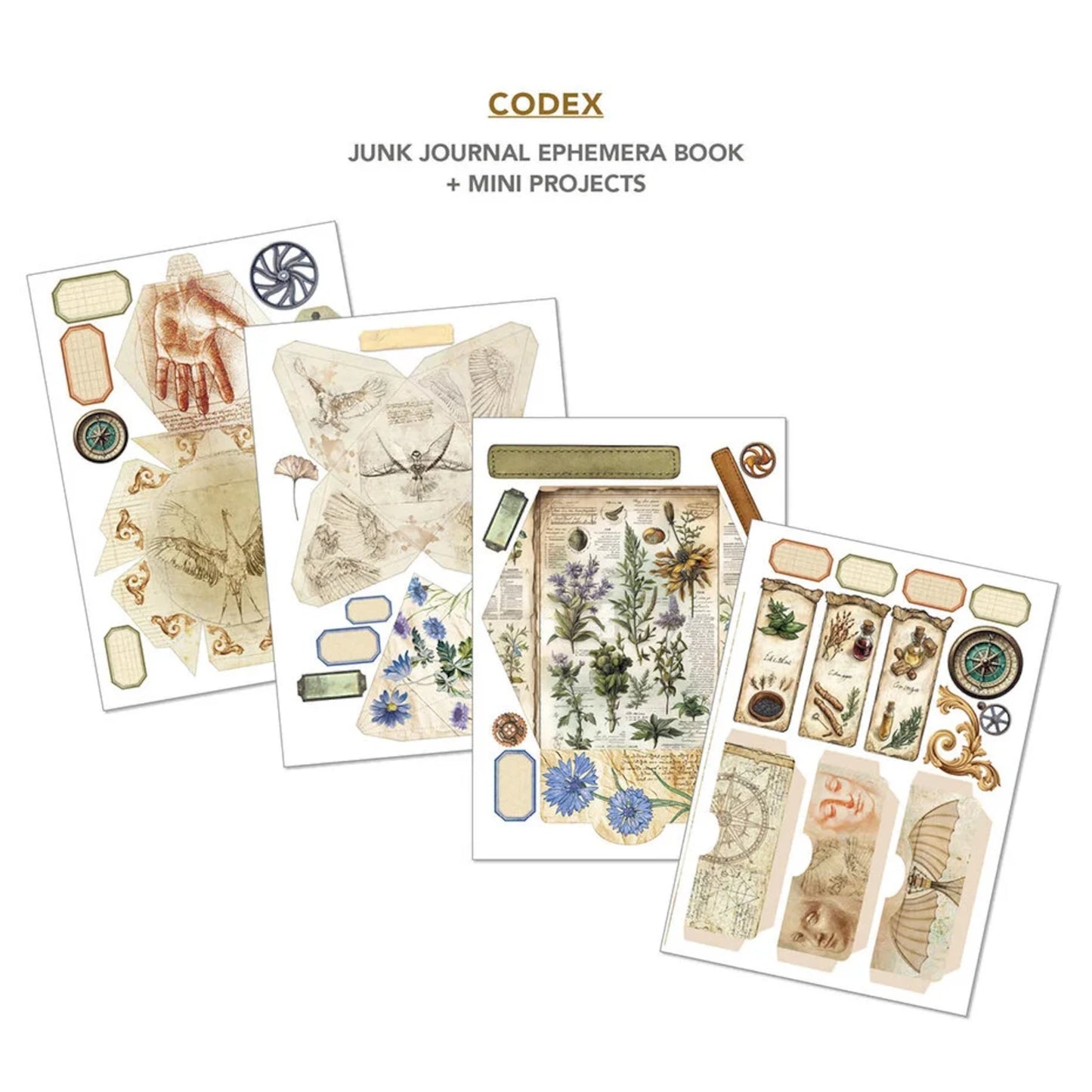 Codex