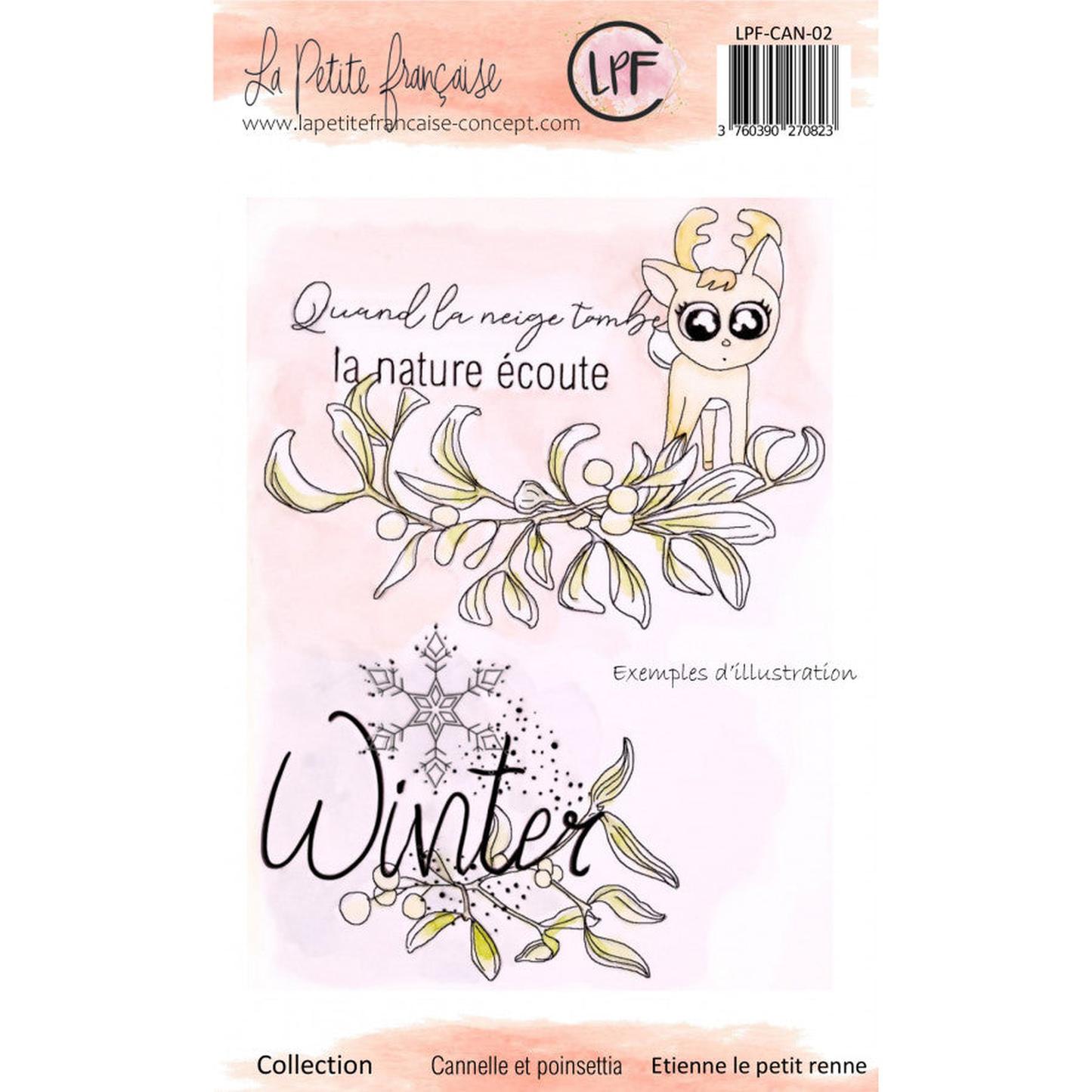 Cannelle et Poinsetia - Etienne le petit renne