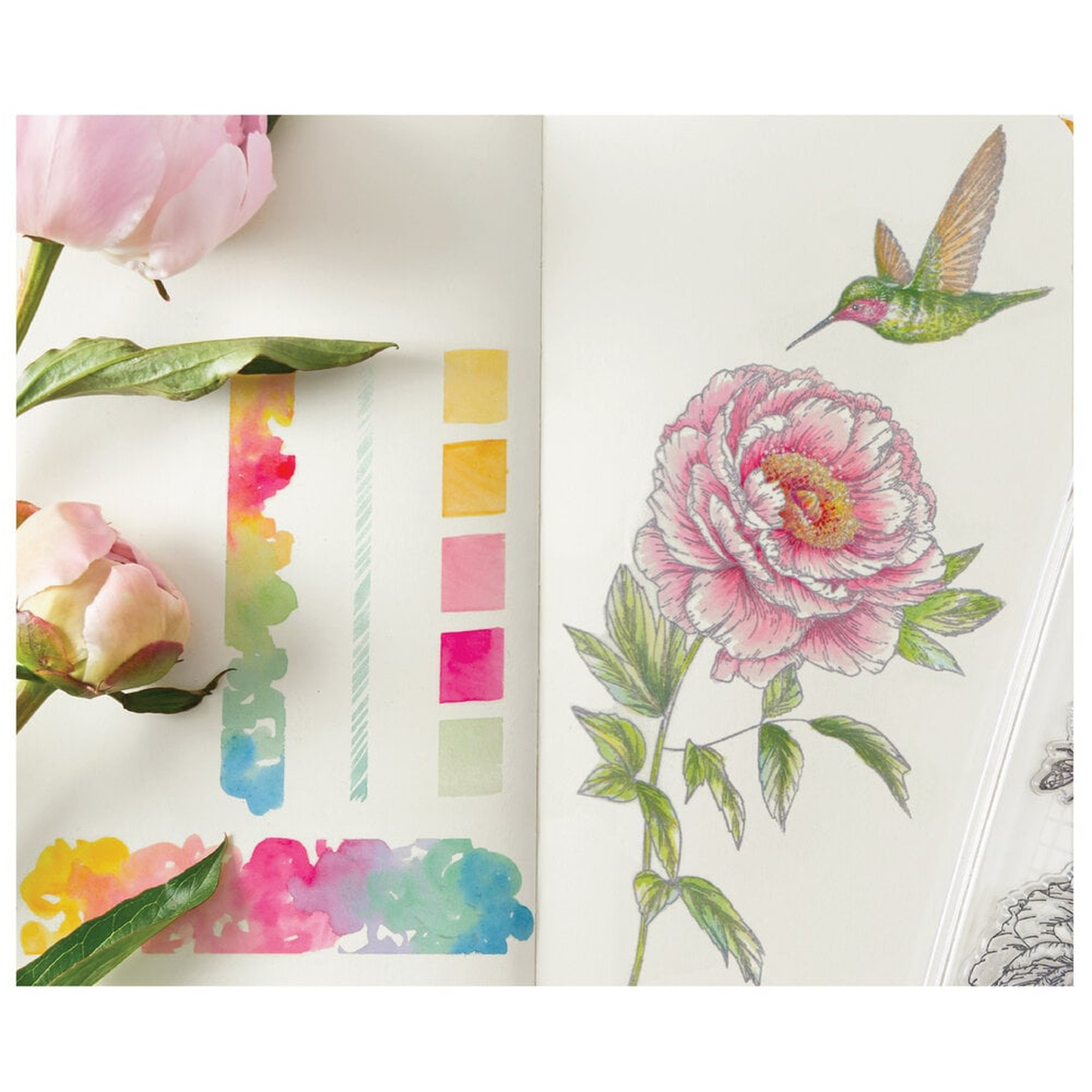 Flowers and Creatures