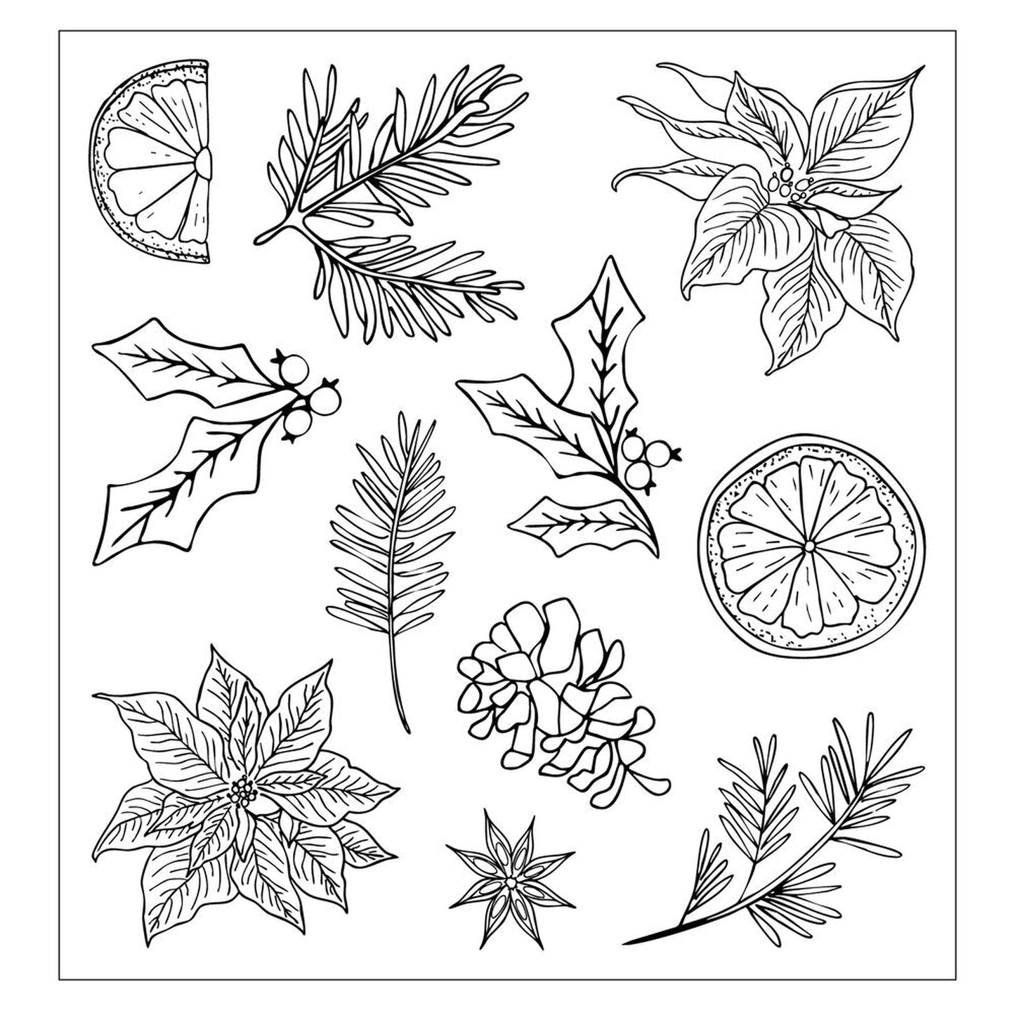 Poinsettia and Pine