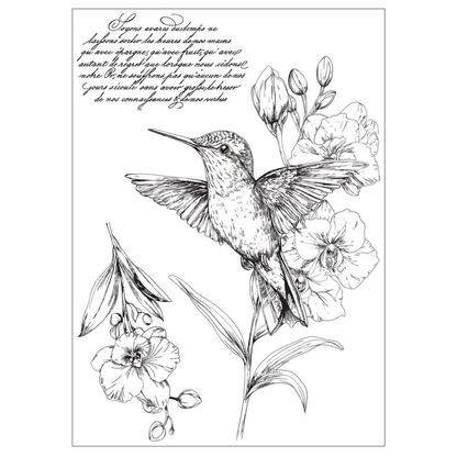 Hummingbird and Orchids