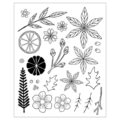 Winter Florals