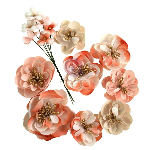 Homegrown Flowers Apple Blossom Garden