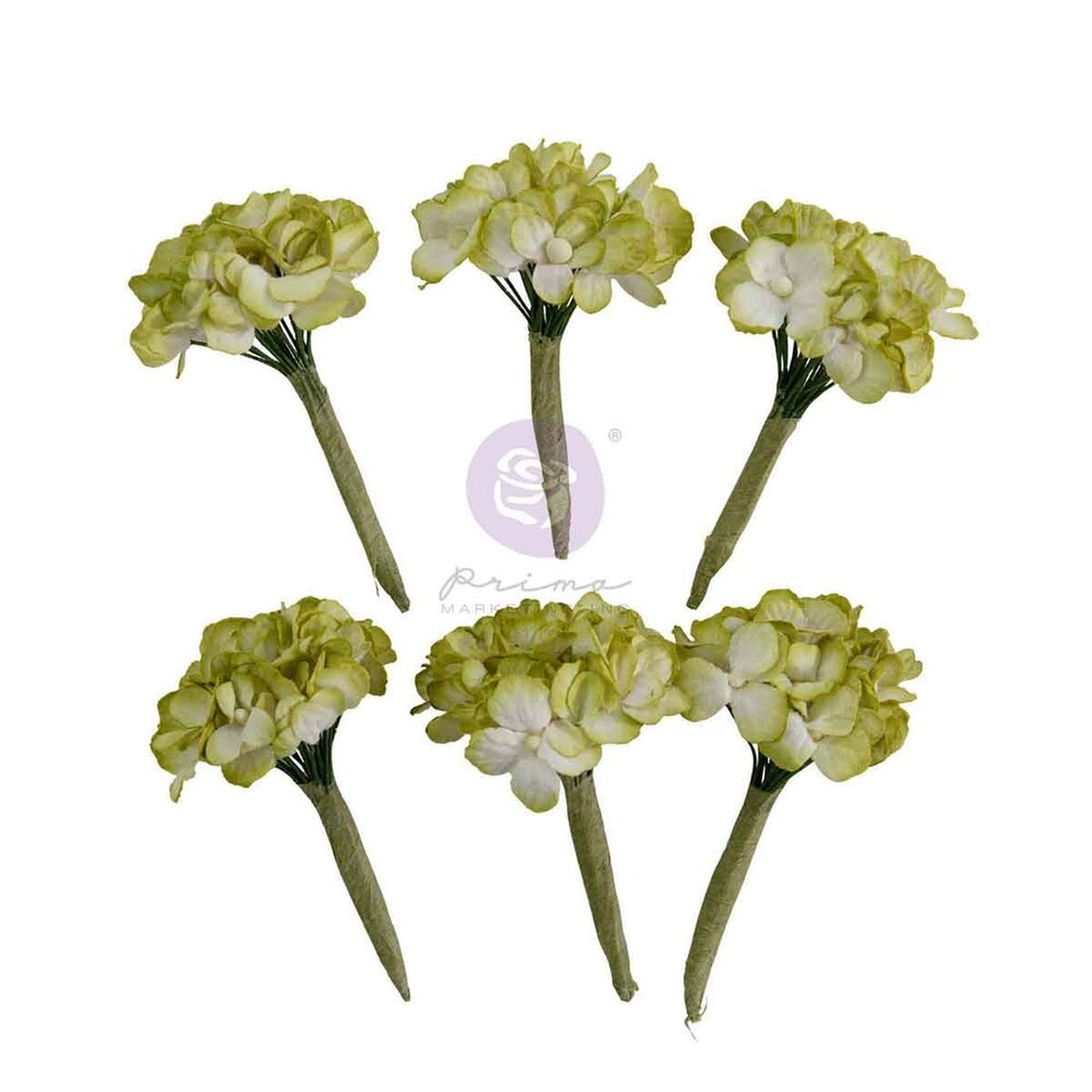 Homegrown Flowers Garden Hydrangea Mist
