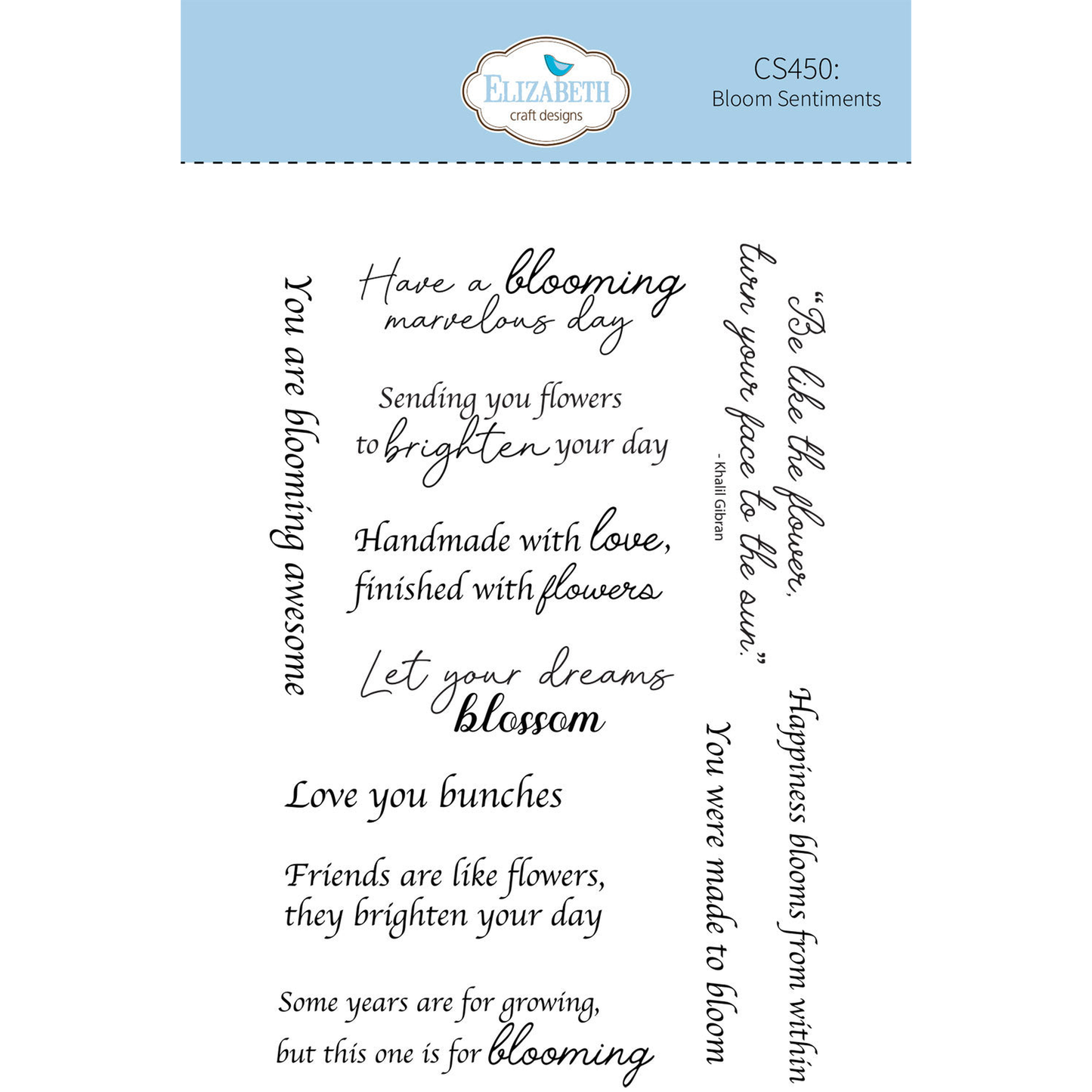 Beautiful Blooms - Bloom Sentiments