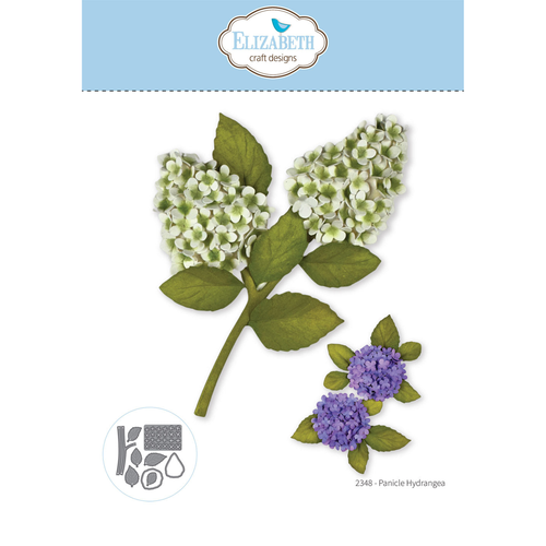Beautiful Blooms - Panicle Hydrangea