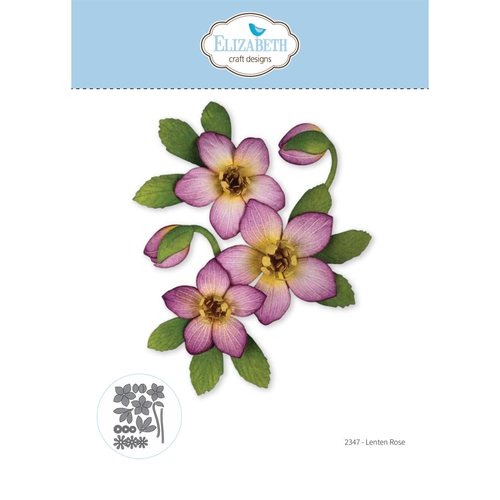 Beautiful Blooms - Lenten Rose