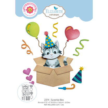 Meet the Cats Surprise Box