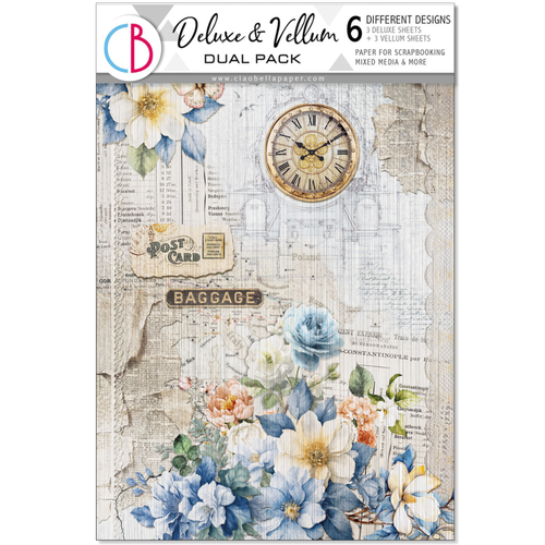 Eastern Journey Deluxe Paper Silver & Vellum Dual Pack Mixed