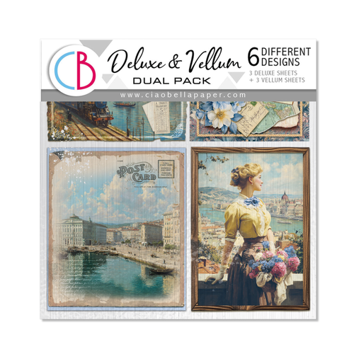 Eastern Journey Deluxe Paper Silver & Vellum Dual Pack Mixed