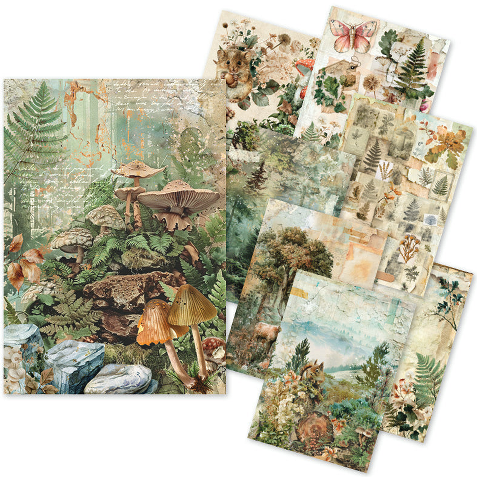 The Nature Journal