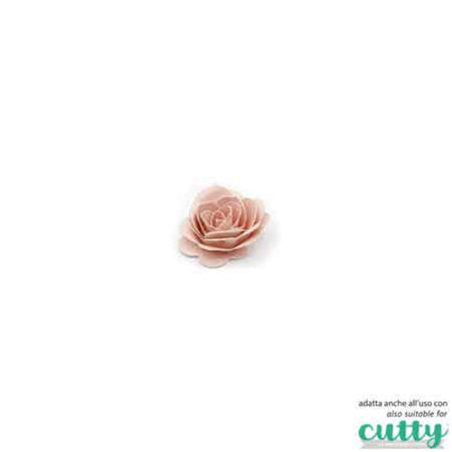 Rosellina 3D