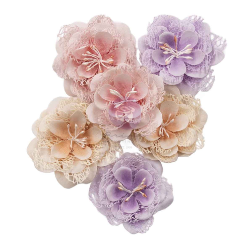 Sweet Spring Flowers Beautiful Nest