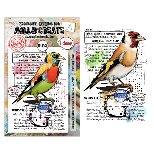 Hearted Nature Whistling Finch