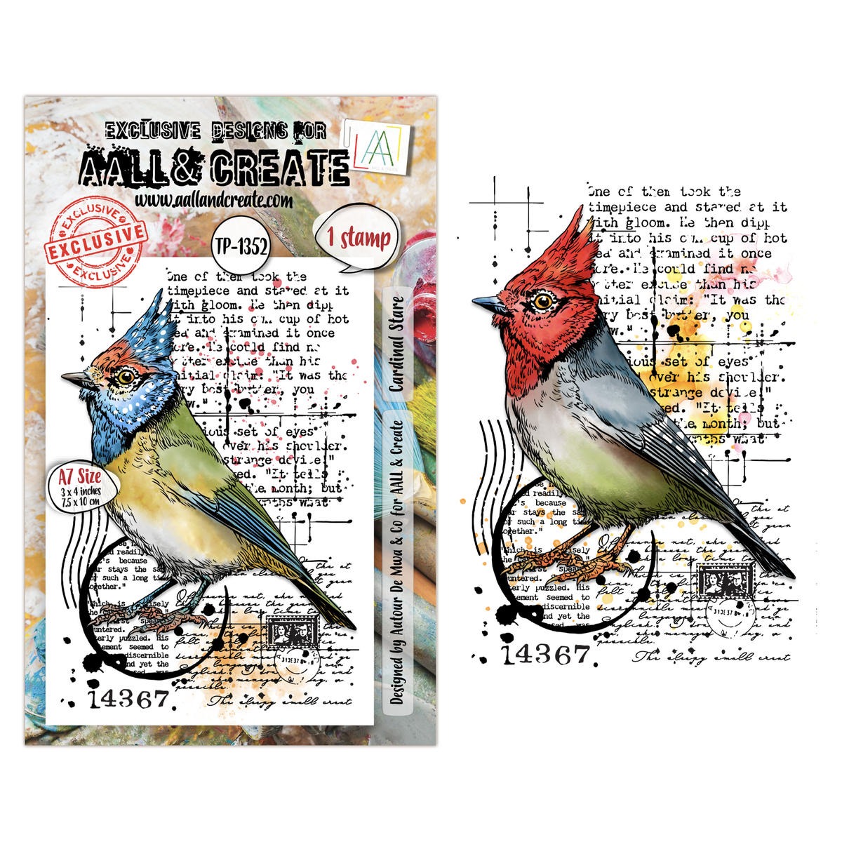 Hearted Nature Cardinal Stare