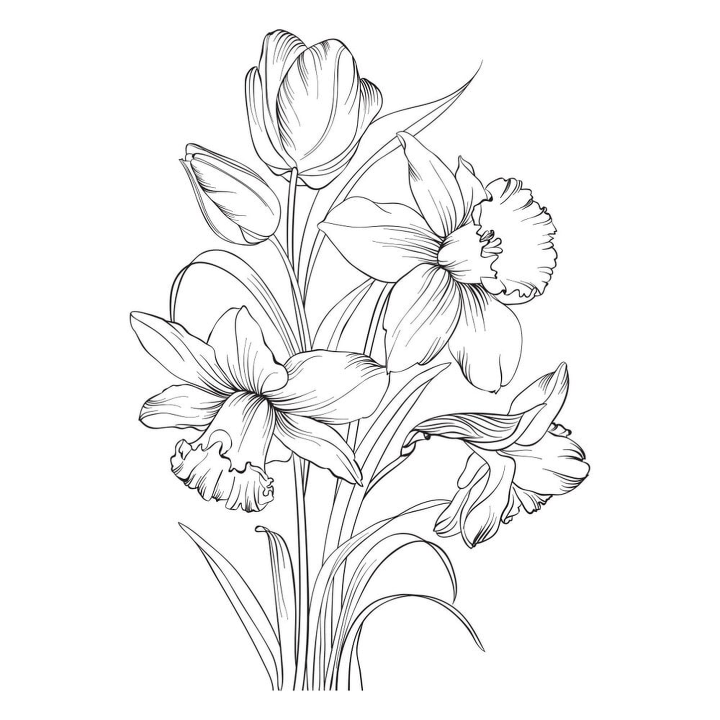 Yana's Tulips - Tulips and Daffodils