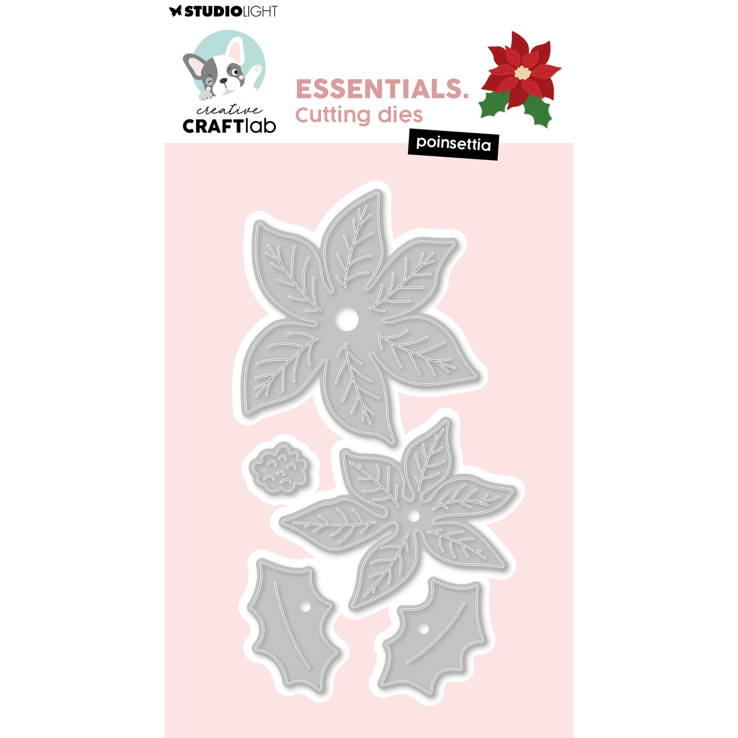 Poinsettia
