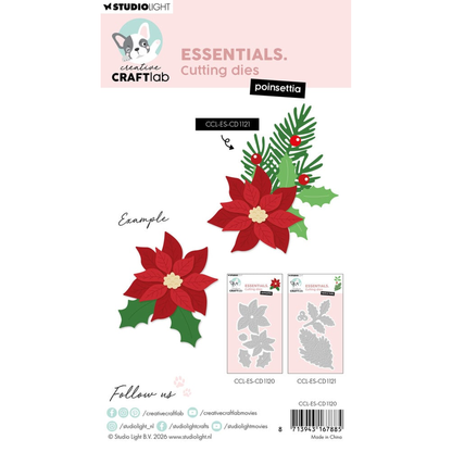 Poinsettia