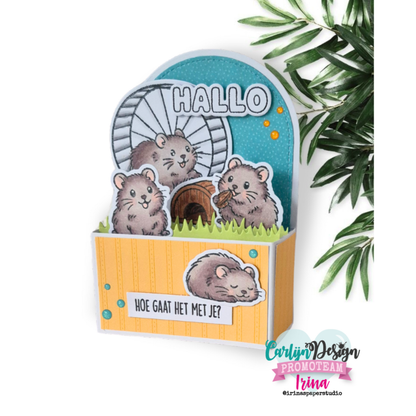 Hamsters