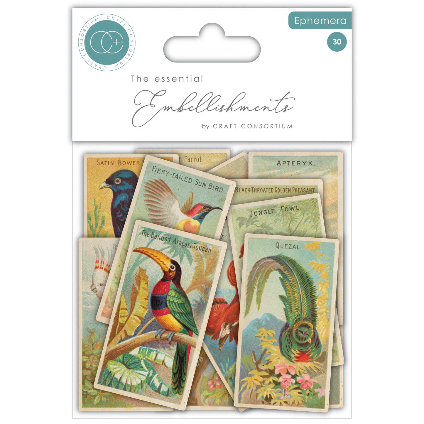 The Collector Ephemera Birds