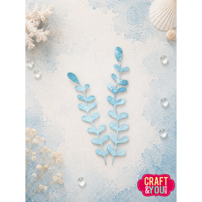Marine Plants 2