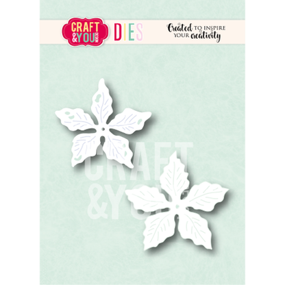Poinsettia 2