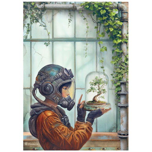 A New Beginning - Terrarium