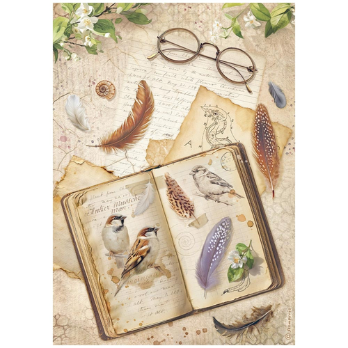 All Around - Book