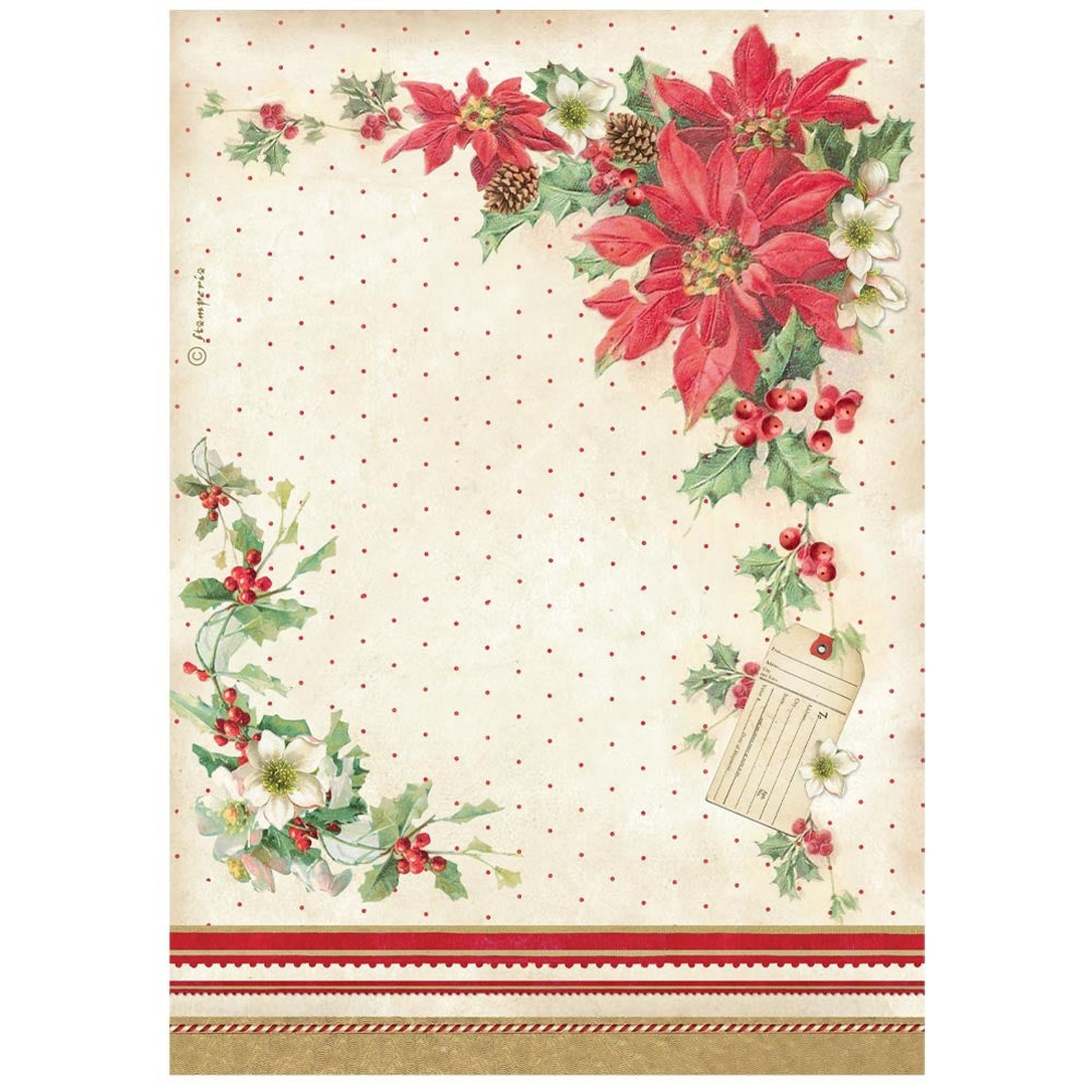 Classic Christmas - Poinsettia
