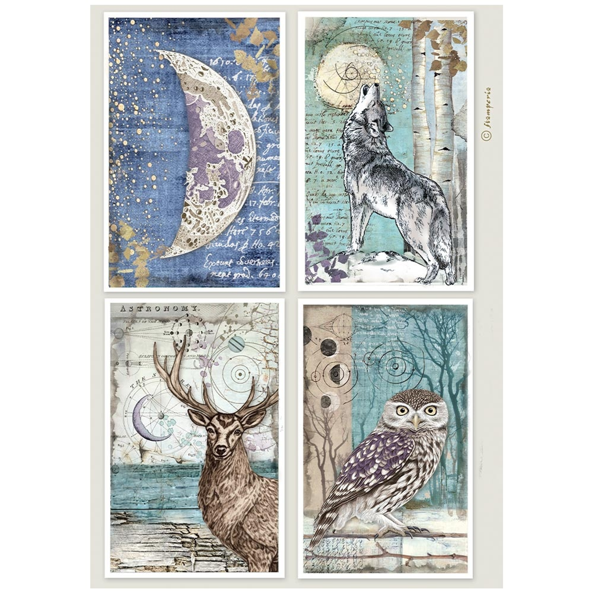 Cosmos Rice Paper 4 Cards