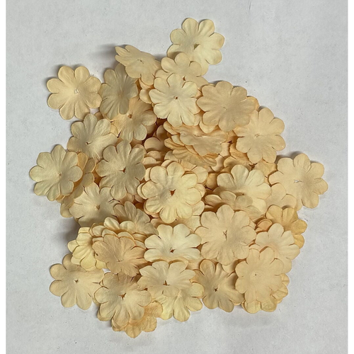 Paper Flowers Creme
