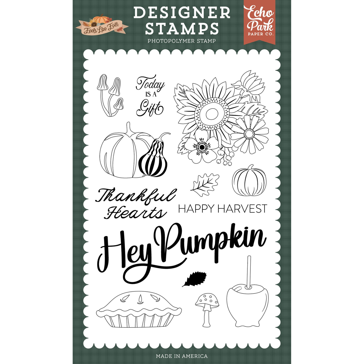 Feels Like Fall Hey Pumpkin