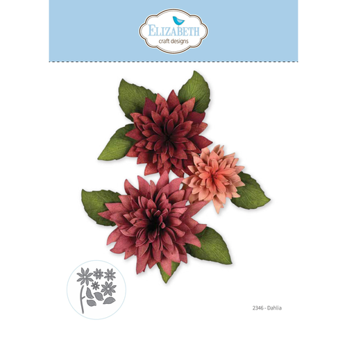 Beautiful Blooms - Dahlia