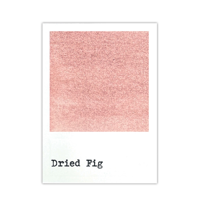 49 & Market Dye Ink Re-inkers Dried Fig