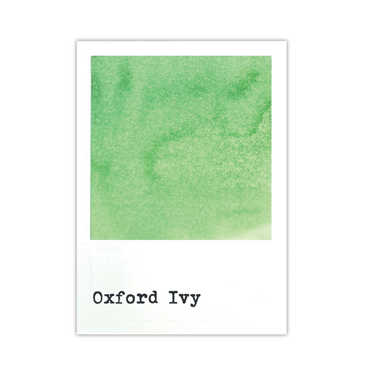 49 & Market Dye Ink Re-inkers Oxford Ivy