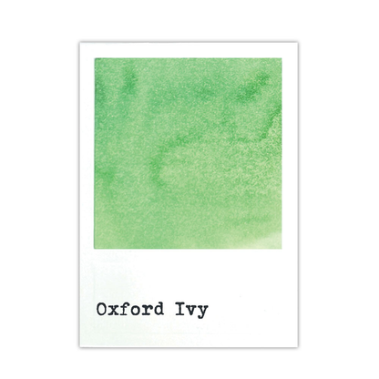 49 & Market Dye Ink Re-inkers Oxford Ivy