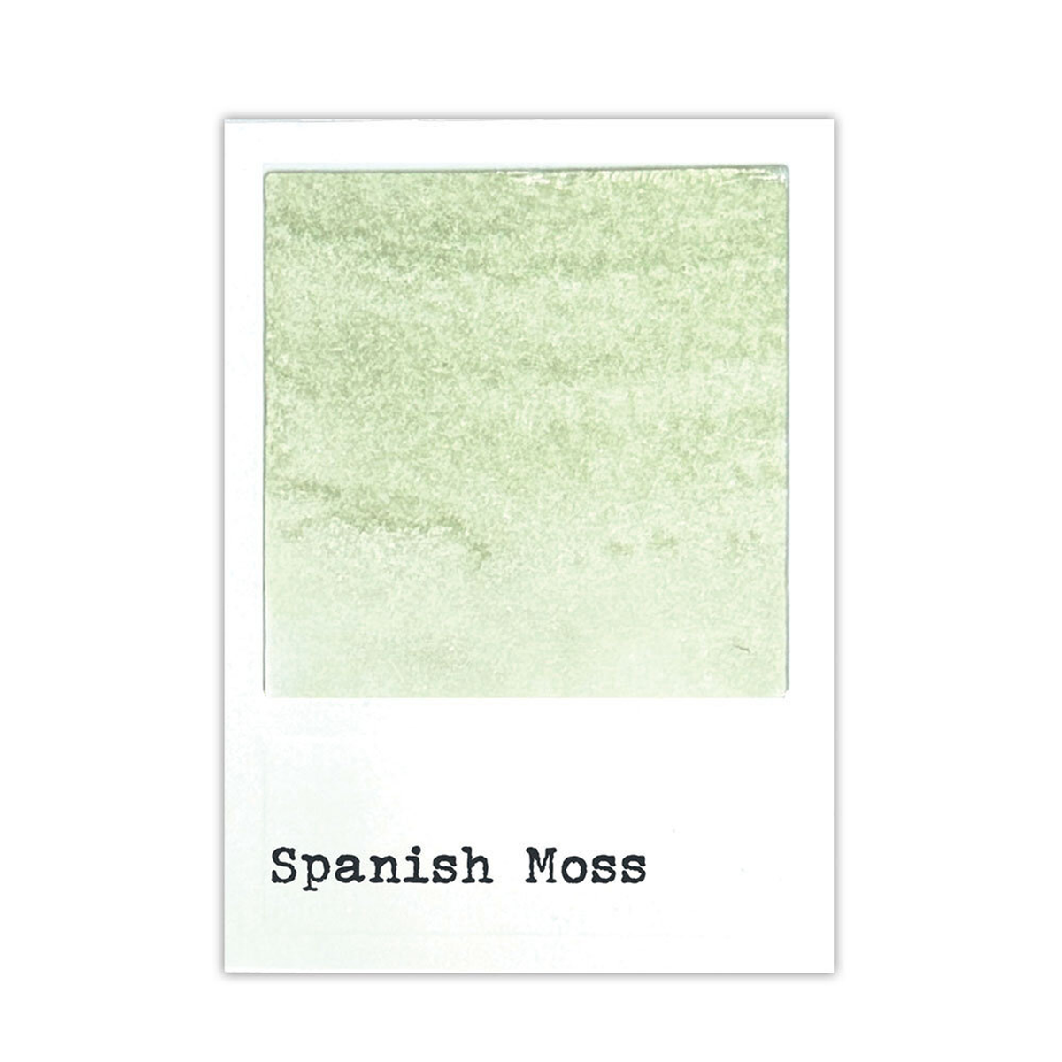 49 & Market Dye Ink Re-inkers Spanish Moss