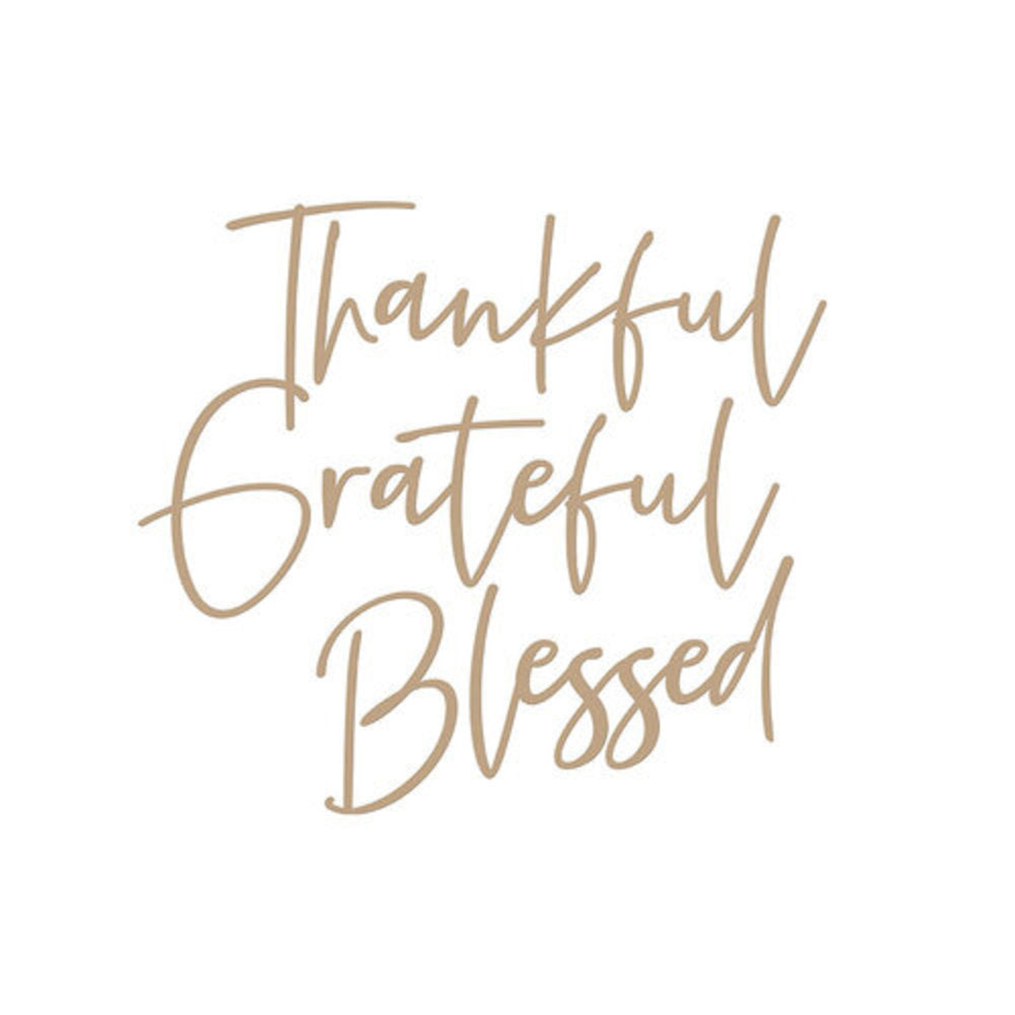 Stylish Script Thankful Glimmer Hot Foil Plate