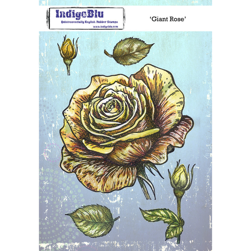 Giant Rose
