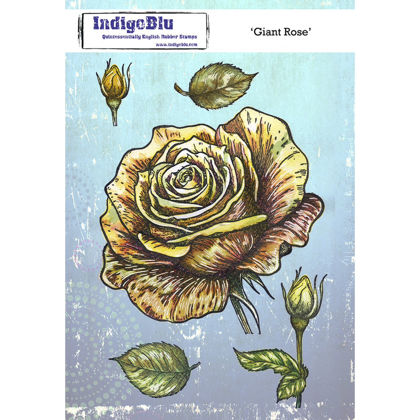 Giant Rose
