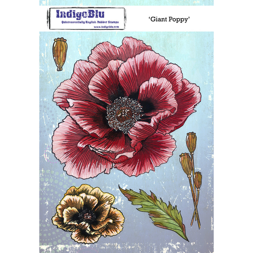 Giant Poppy